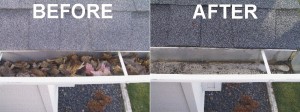 miami gutter cleaning